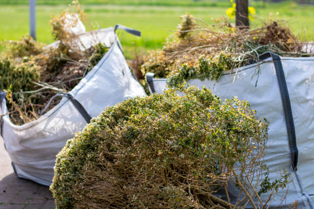 Best Basement Cleanout Services  in Parklawn, CA